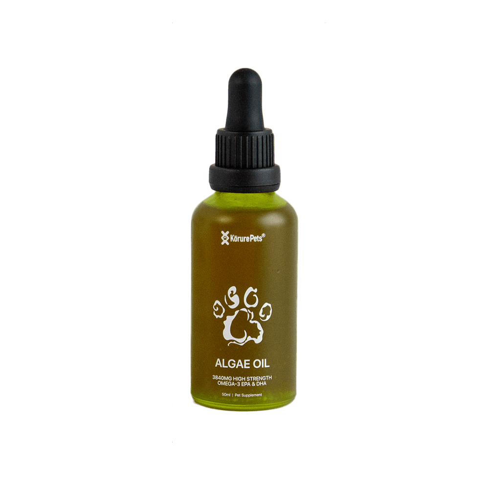 Algae Oil Cat Oral Liquid