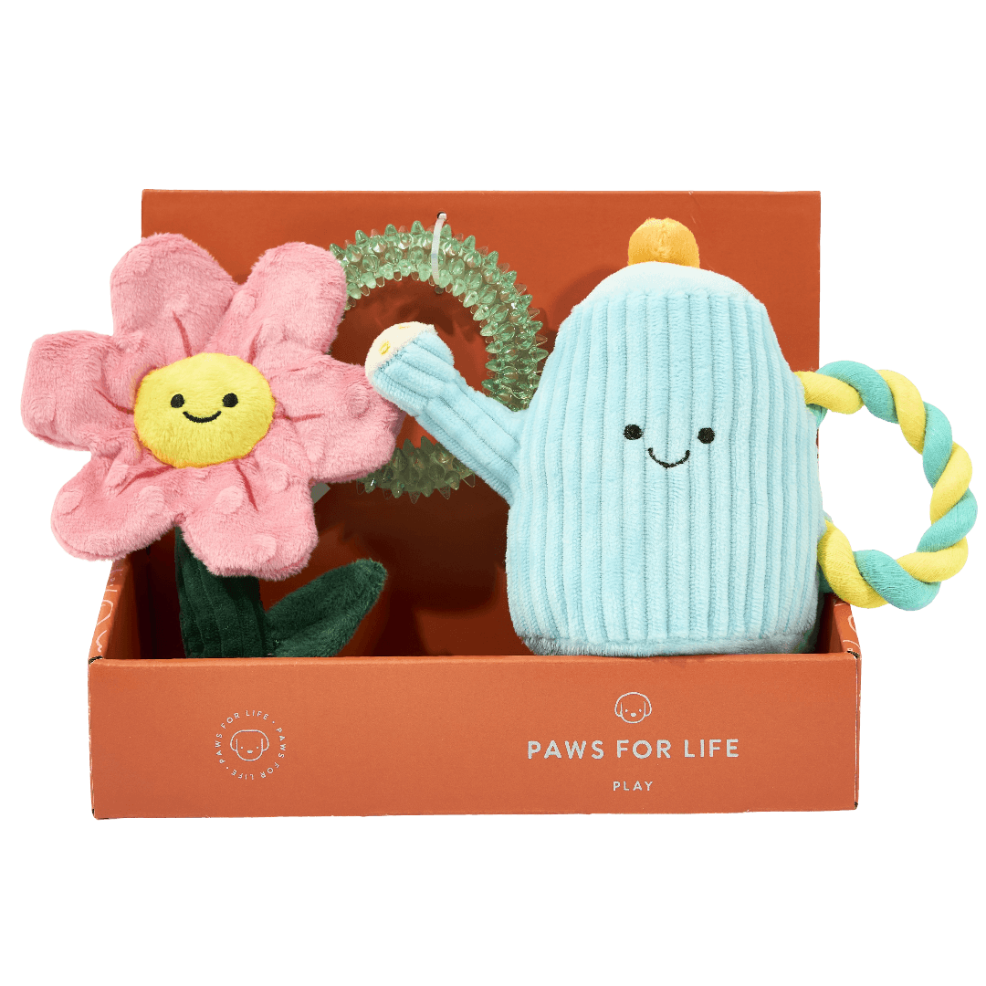 3 Piece Gift Set Garden Flower Party Dog Toys