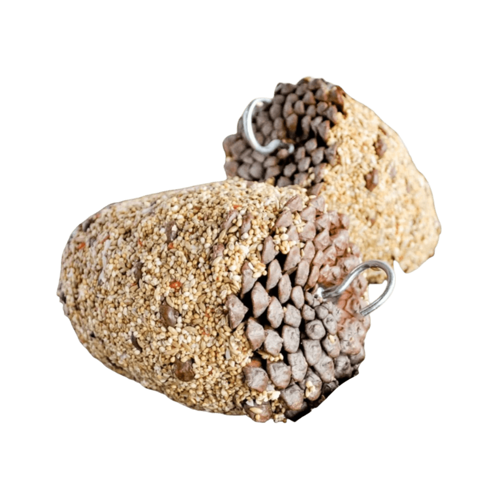Forage Gourmet Seed Co Pinecone Bird Treat
