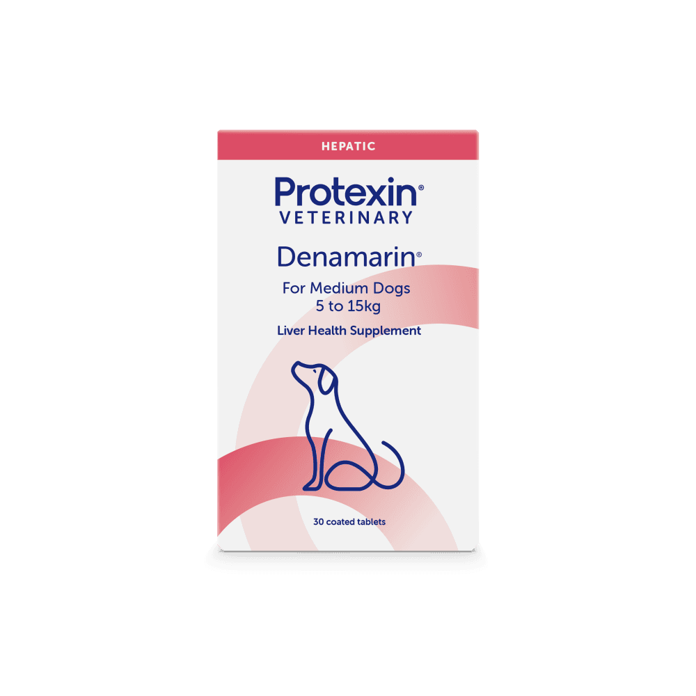 Protexin Denamarin Liver Support Medium Dogs