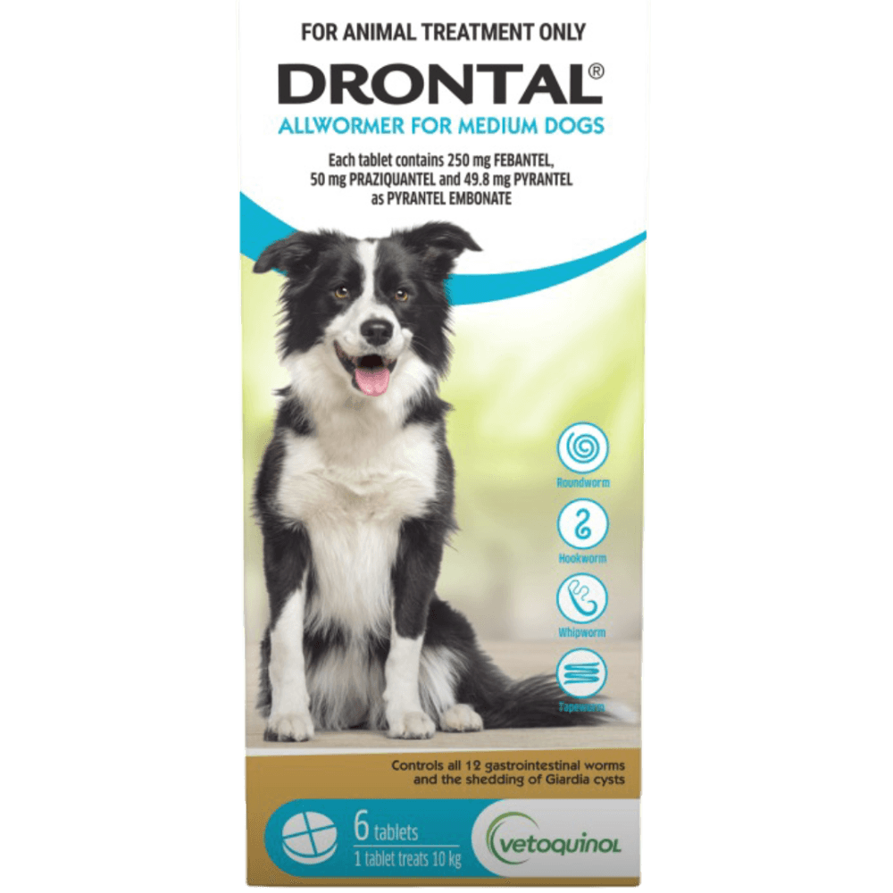 Dog Allwormer Tablet 10kg