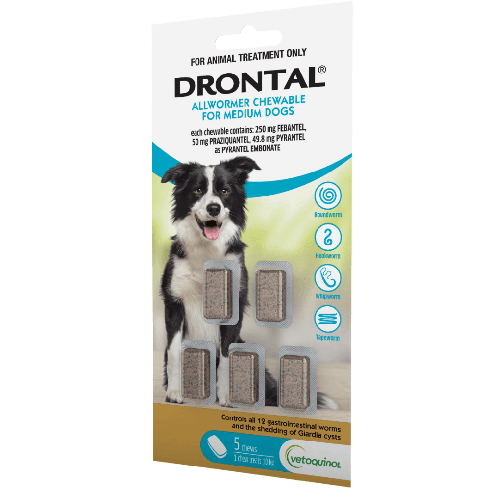 Drontal Allwormer Chewables for Medium Dogs 10kg