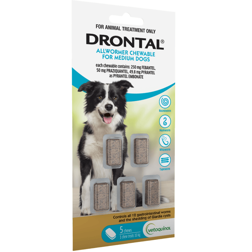 Drontal Allwormer Chewables for Medium Dogs 10kg
