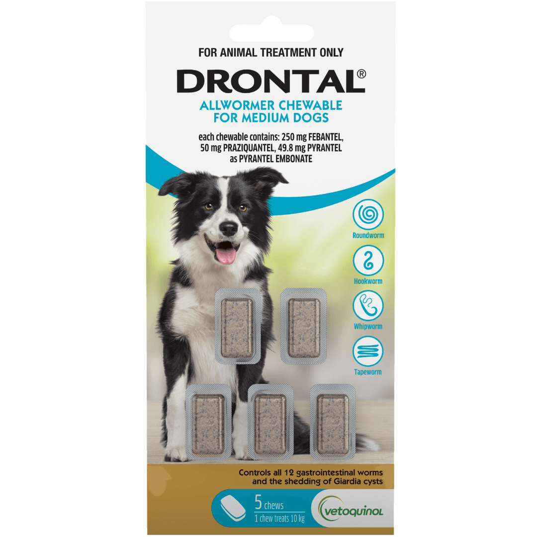 Allwormer Chewables for Medium Dogs 10kg
