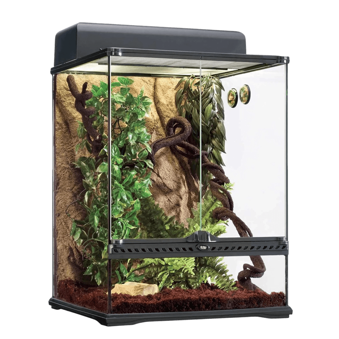 Terrarium Rainforest Habitat Kit