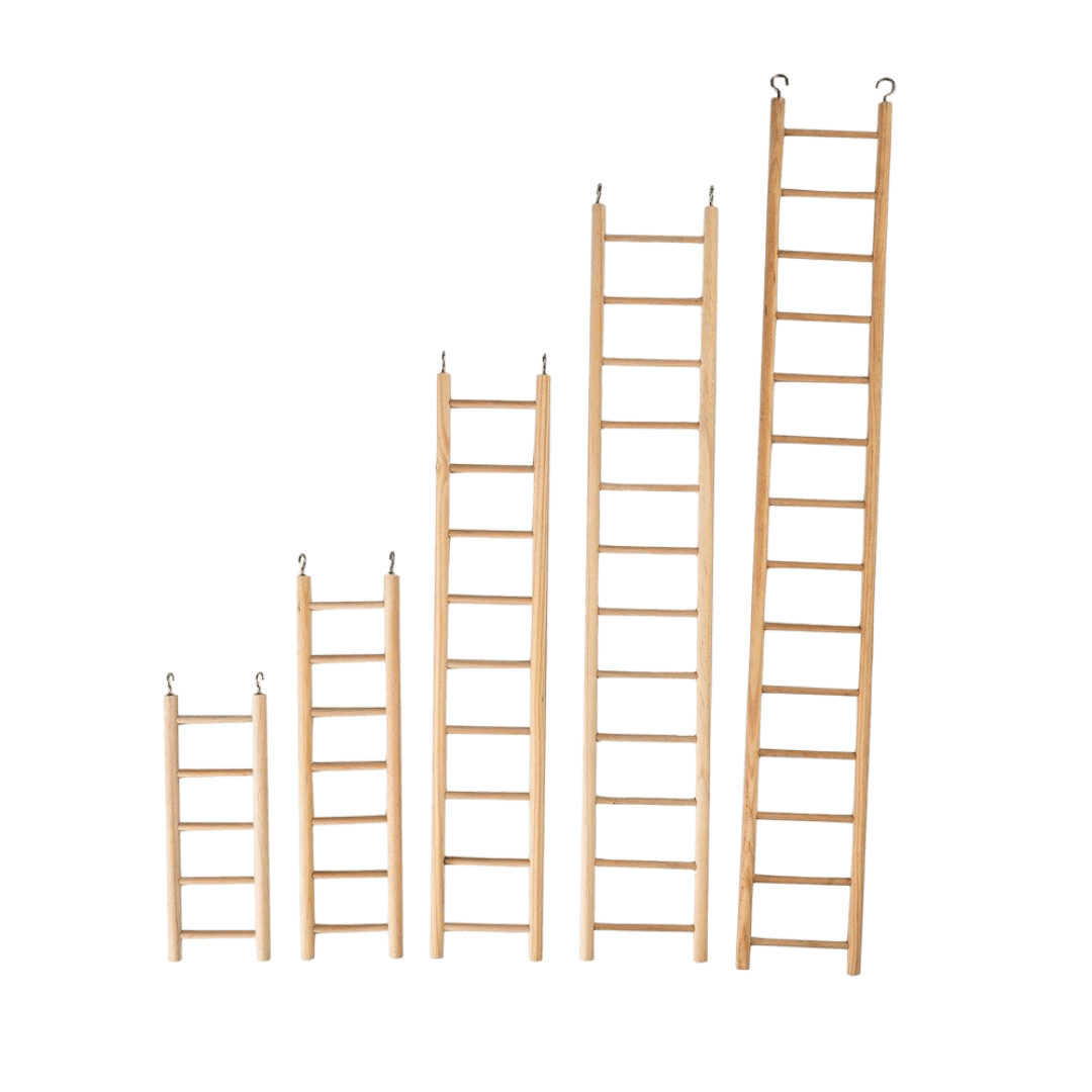Plain Wooden Ladder Bird Toy