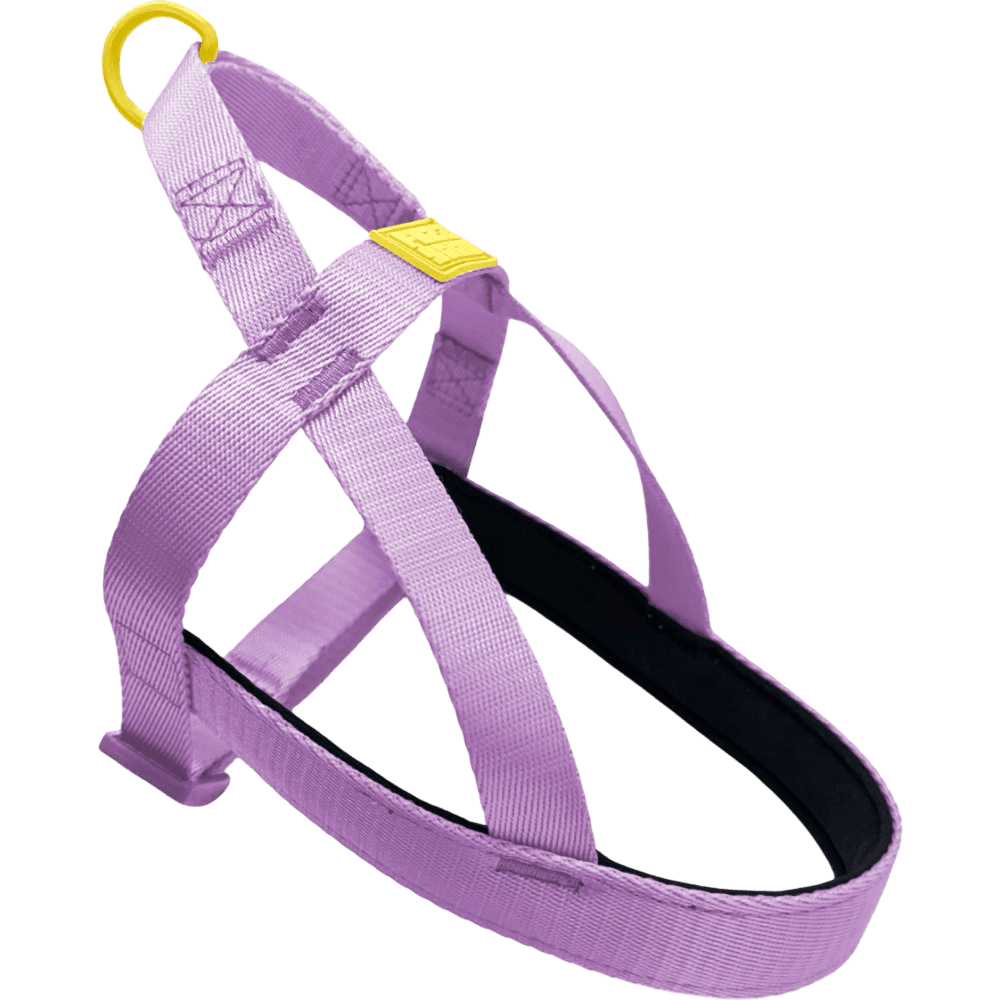 Fuzzyard Sugar Rush Comfort Harness Sherbet Pop