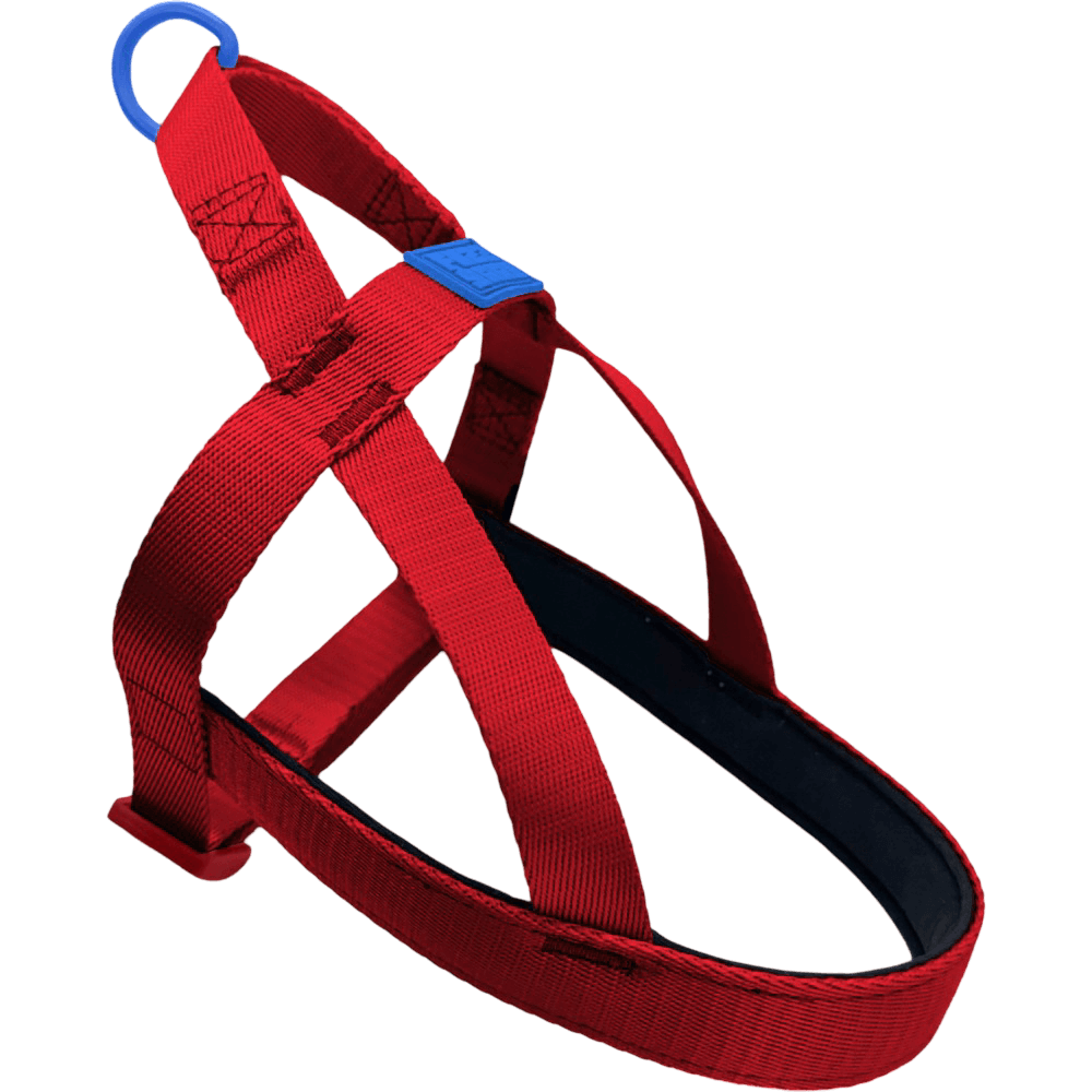 Fuzzyard Sugar Rush Comfort Harness Cherry Charge