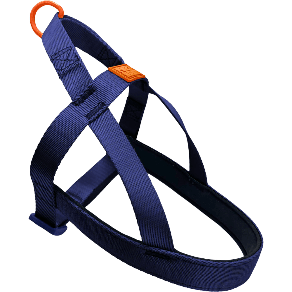 Fuzzyard Sugar Rush Comfort Harness Tangerine Twist