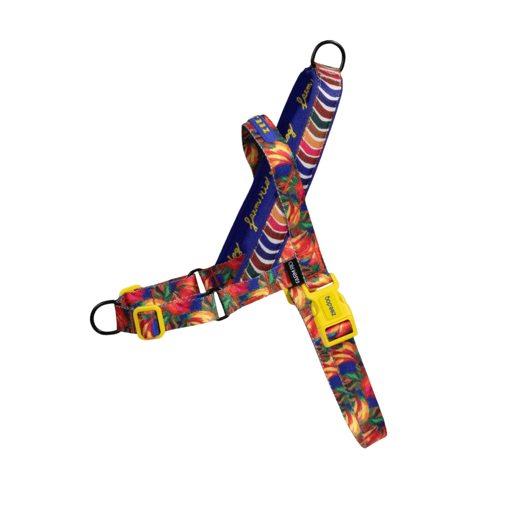 Zee Dog Samba Softer Walk Dog Harness