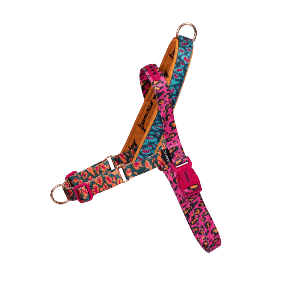 Zee Dog Selva Softer Walk Dog Harness