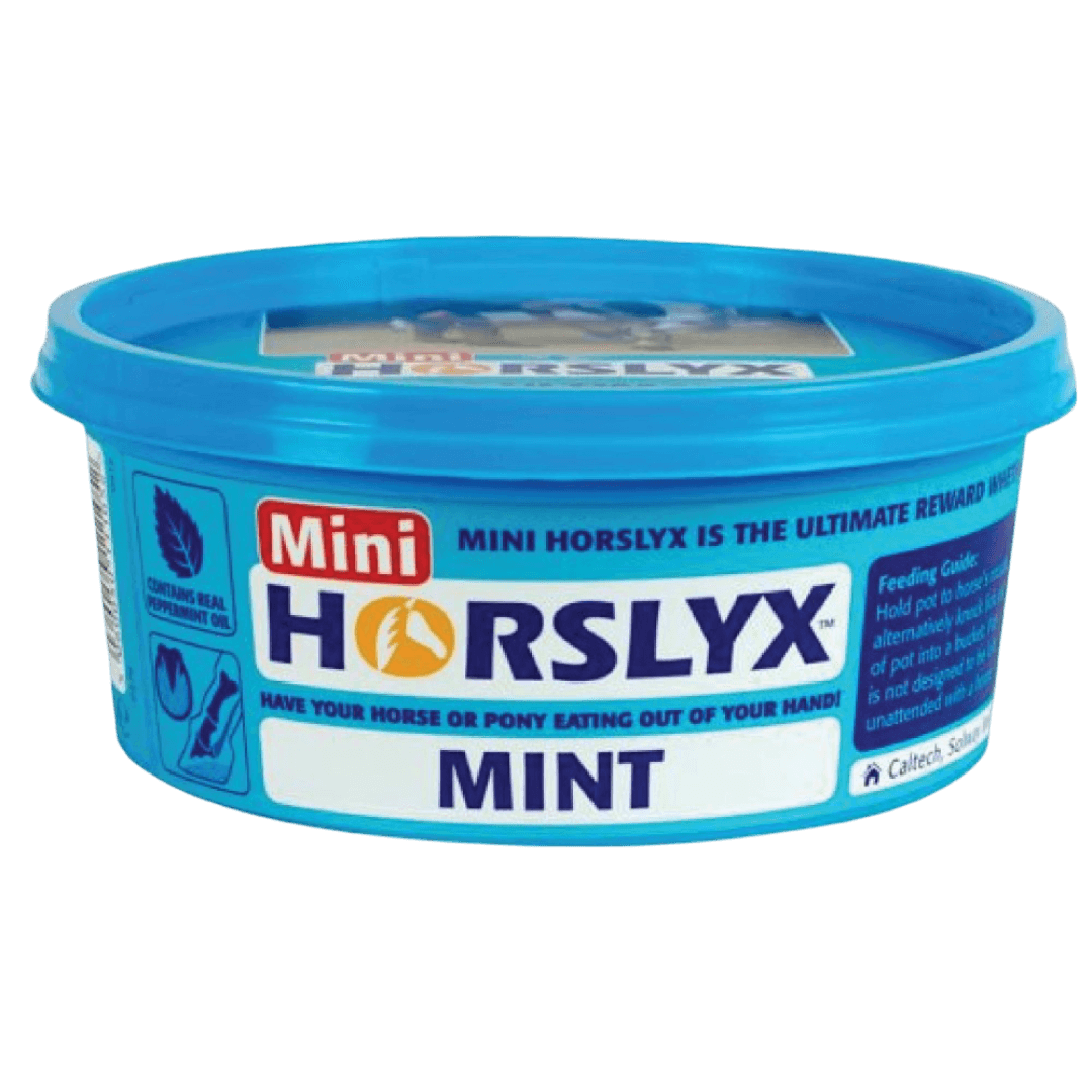 Mint Mini Vitamin And Mineral Lick