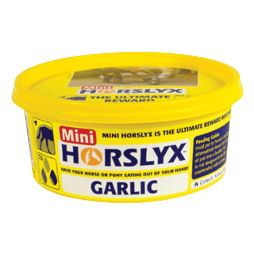 Garlic Mini Vitamin And Mineral Lick