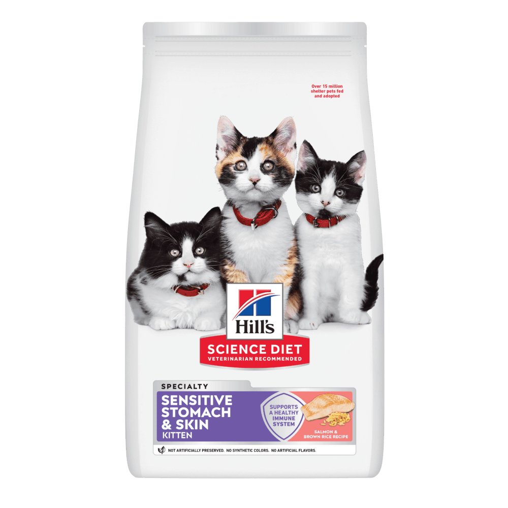 Sensitive Stomach And Skin Salmon Brown Rice Kitten Dry Cat Food