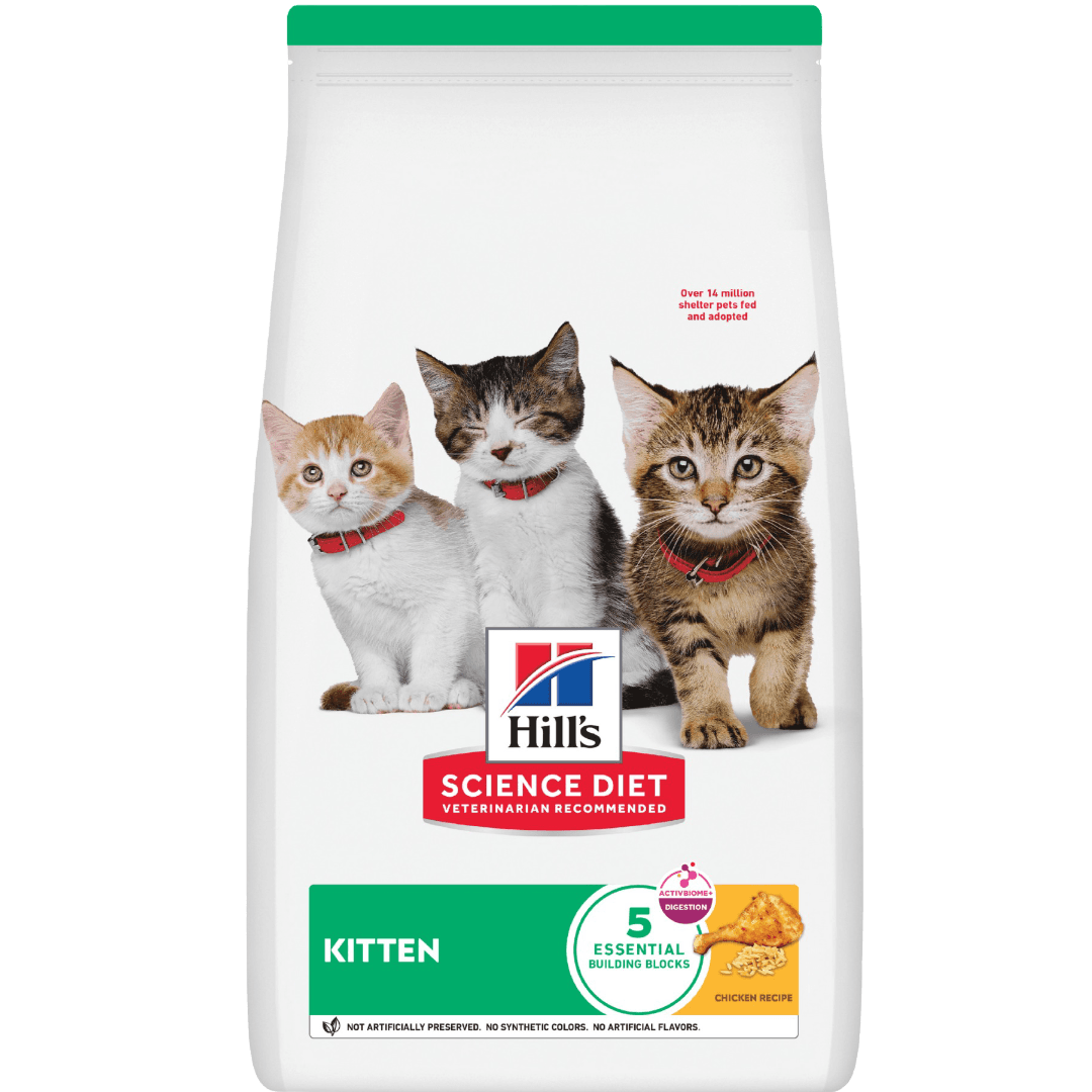 Kitten Dry Cat Food