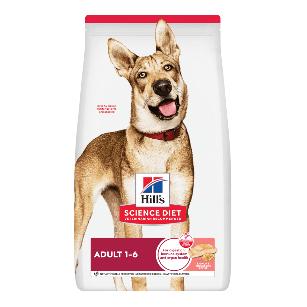 Salmon Adult Dry Dog Food