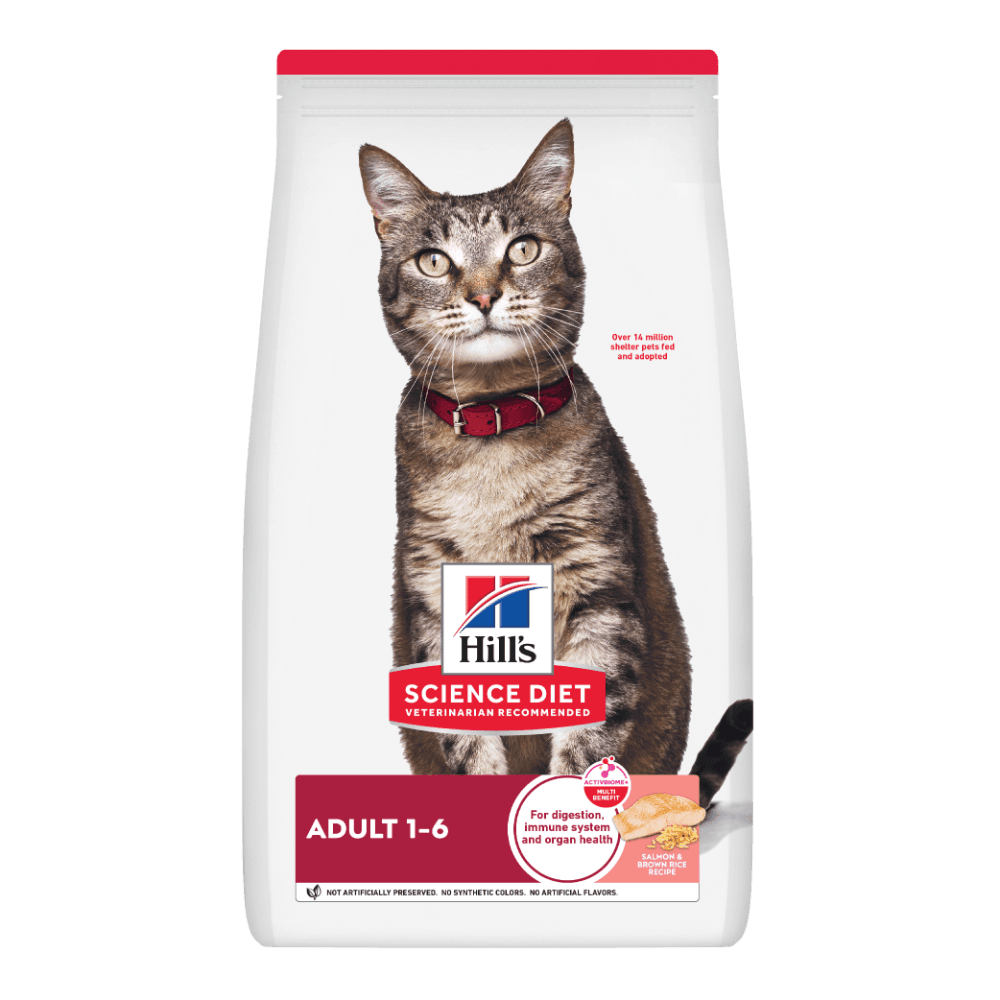 Salmon Adult Dry Cat Food