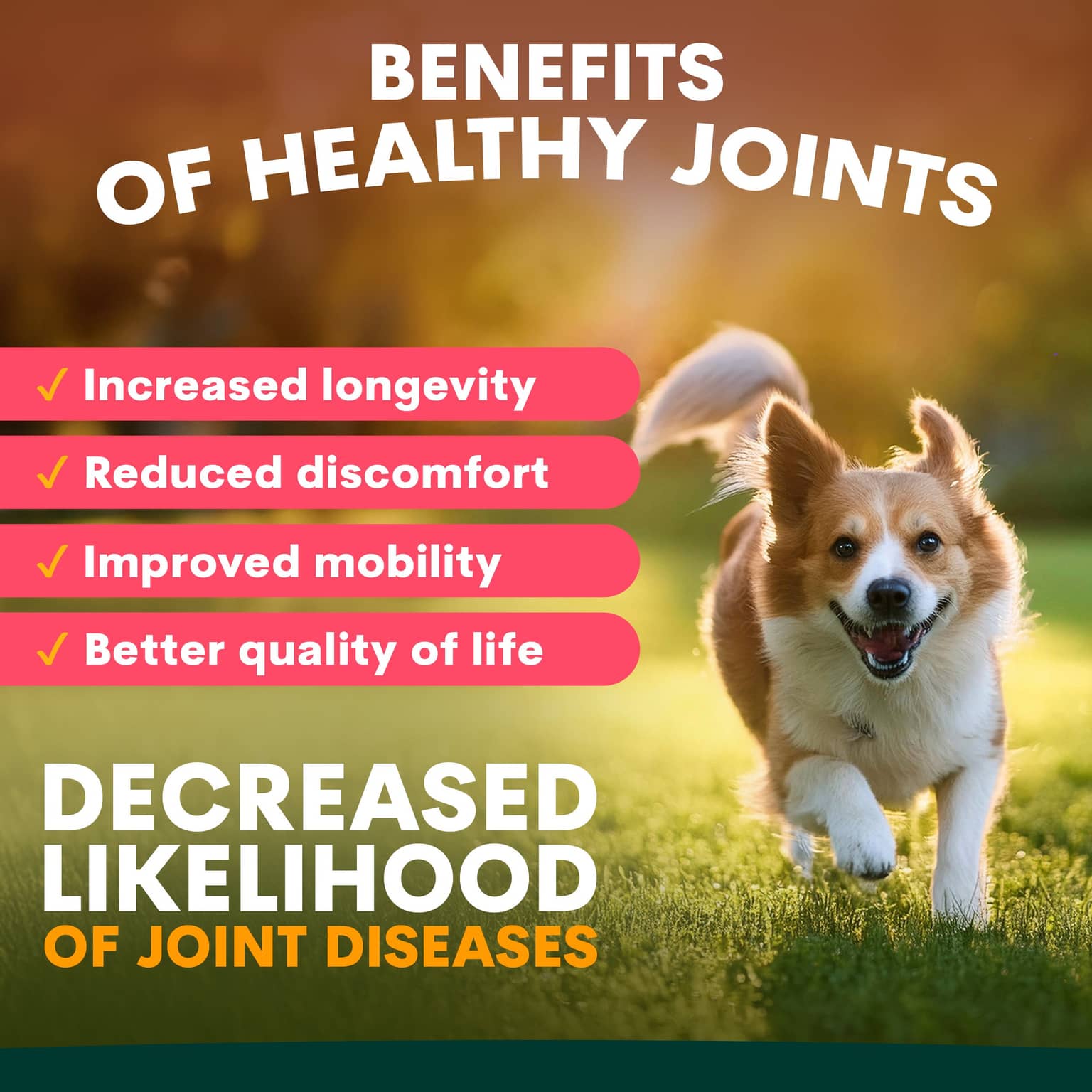 Petz Park Hip & Joint Support Powder for Dogs