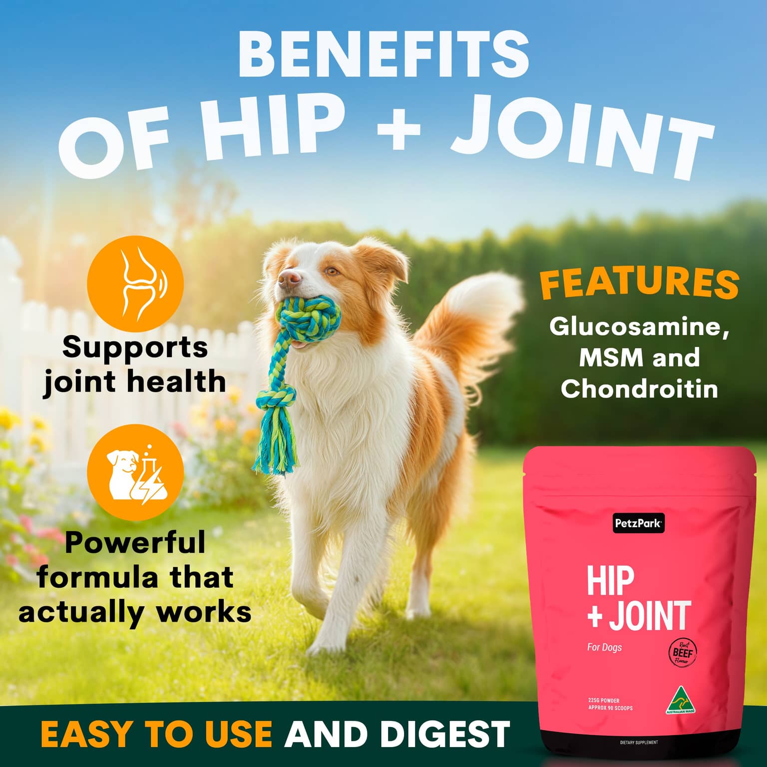 Petz Park Hip & Joint Support Powder for Dogs