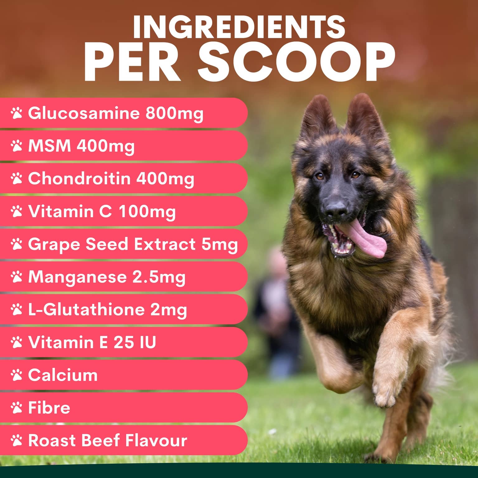 Petz Park Hip & Joint Support Powder for Dogs