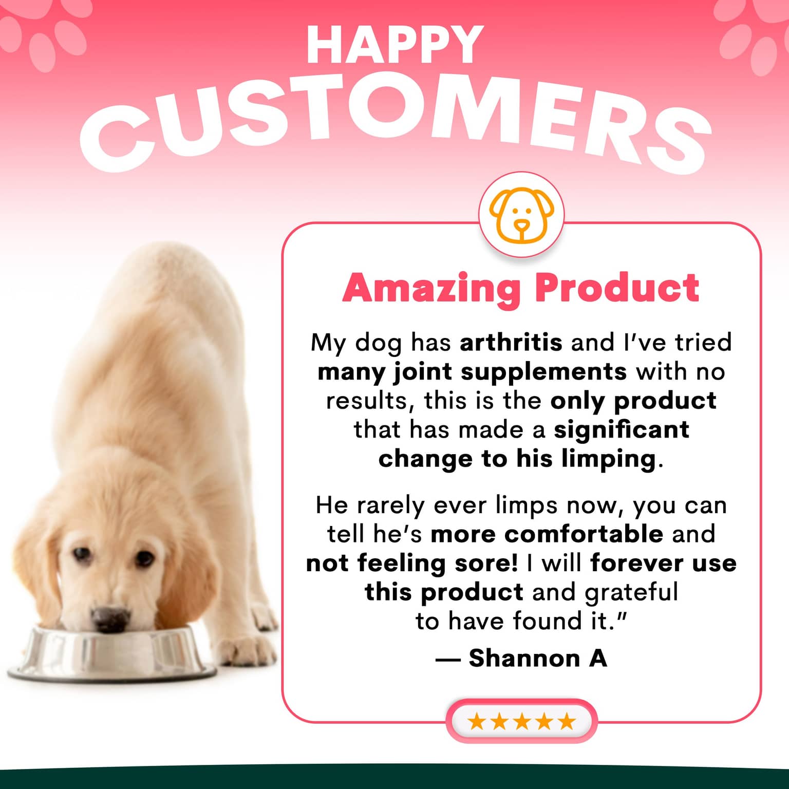 Petz Park Hip & Joint Support Powder for Dogs