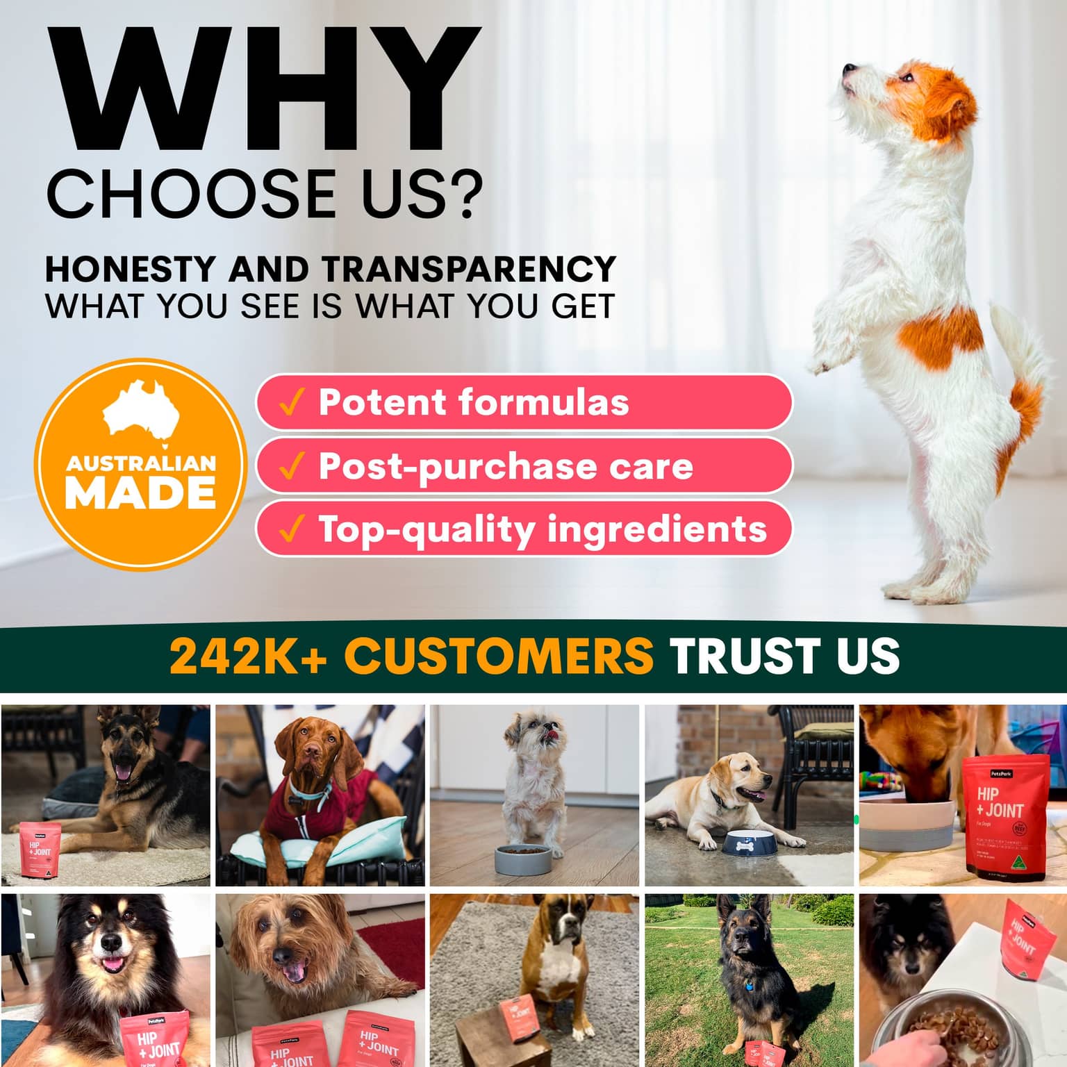 Petz Park Hip & Joint Support Powder for Dogs