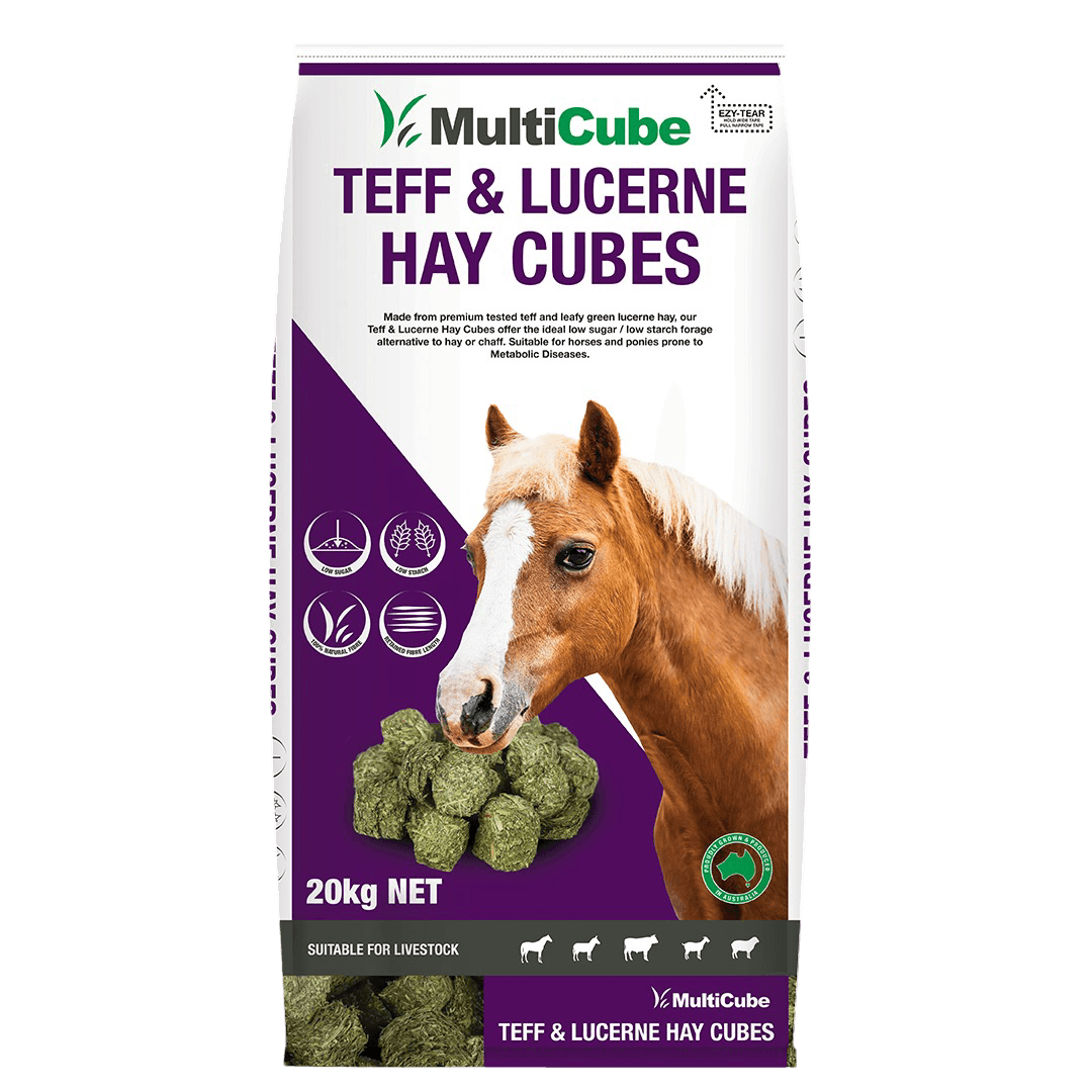 Pasture Lucerne & Teff Hay Cubes
