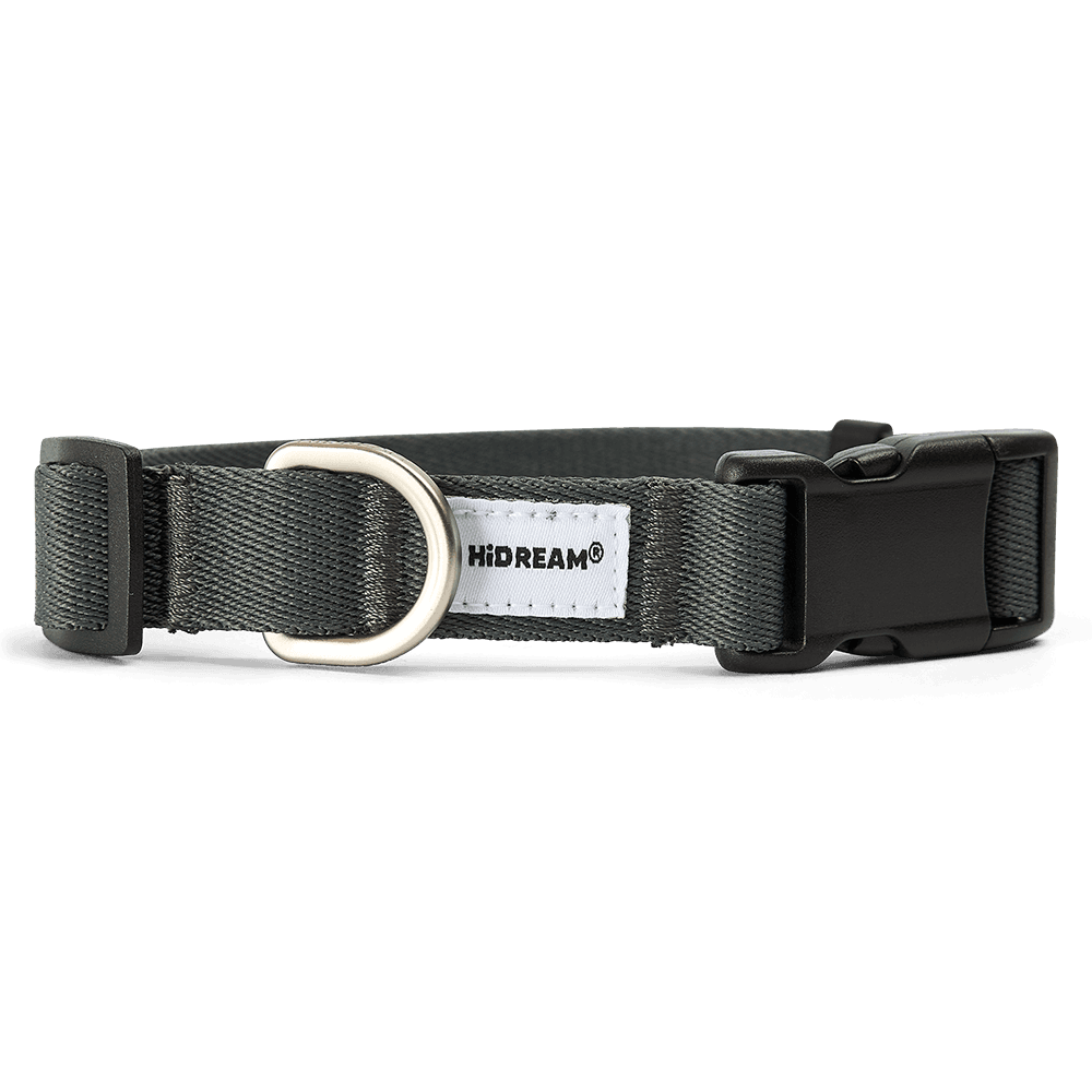 Dog Collar in Black