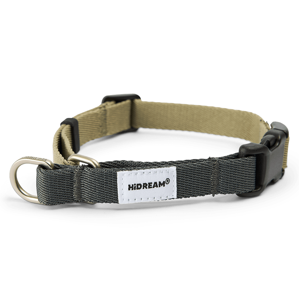 Half P Chain Training Dog Collar in Sage