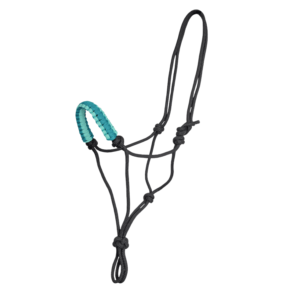 Padded Nose Rope Halter In Black And Turquoise For Horses
