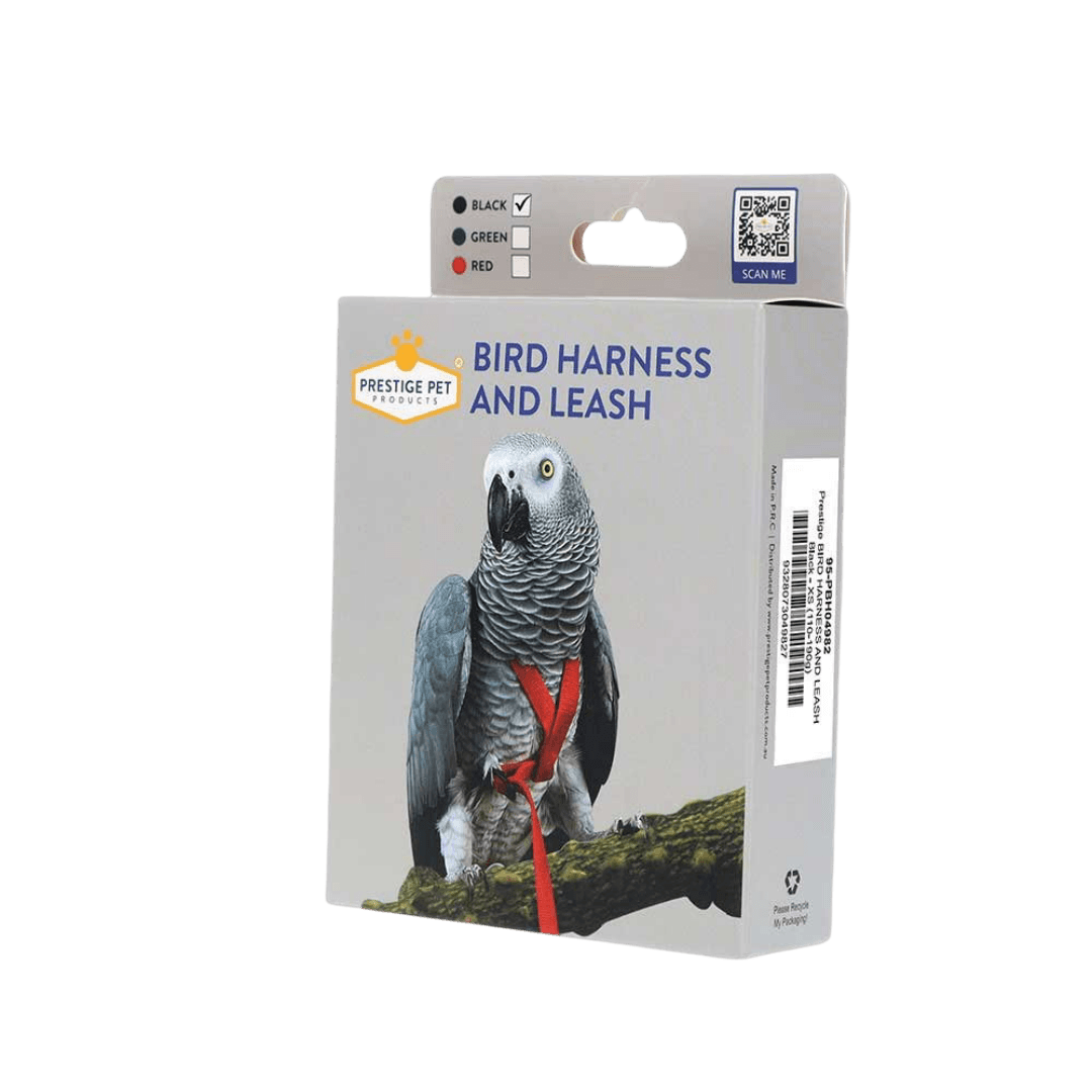 Bird Harness And Leash In Black
