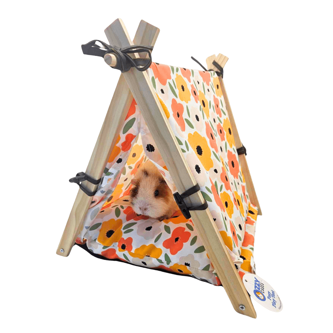 Posy Play Tent Guinea Pig Tee Pee