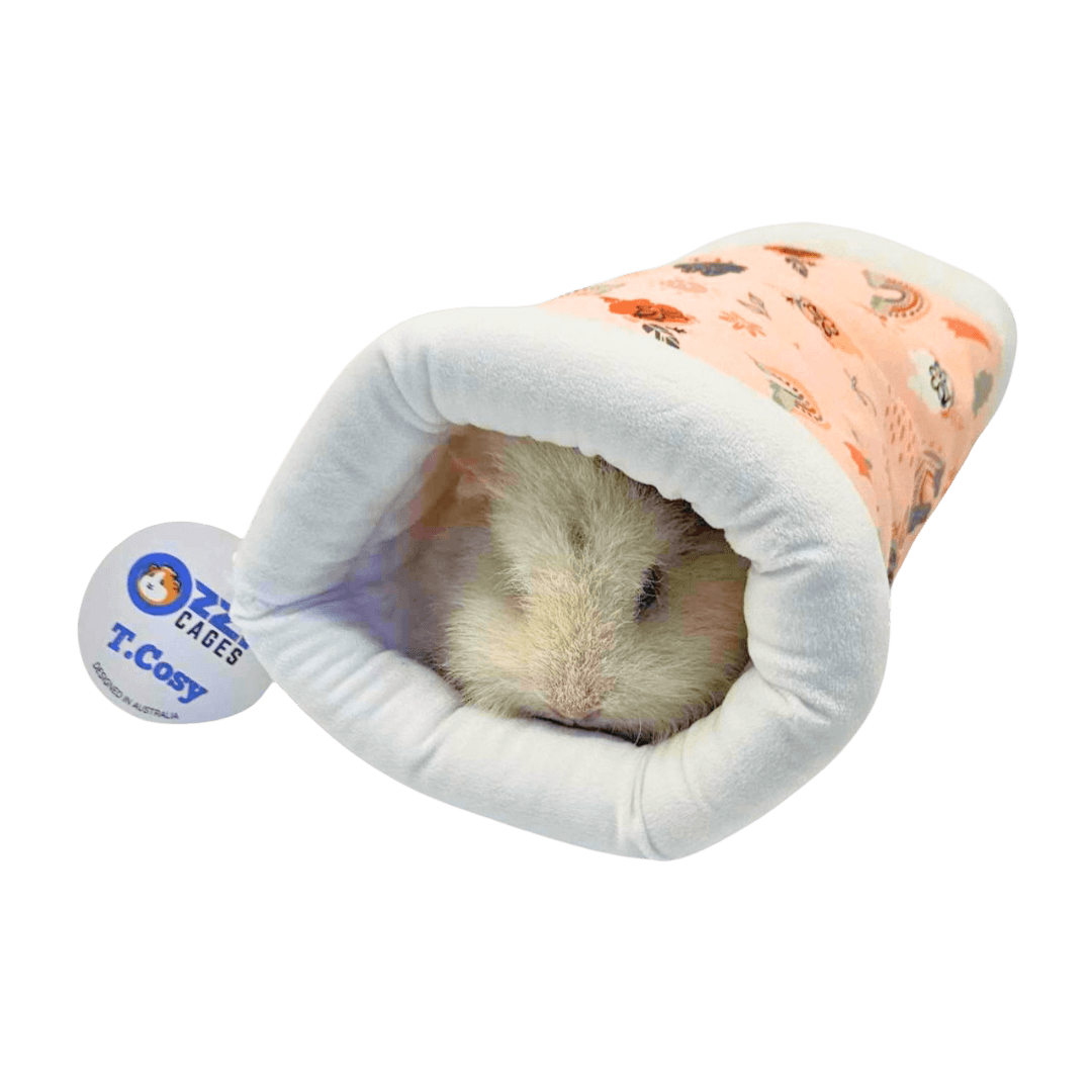 T Cosy Tunnel Earthchild Guinea Pig Soft Toy