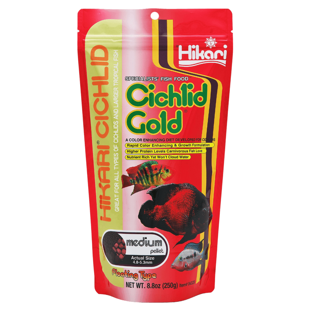 Cichlid Gold Medium