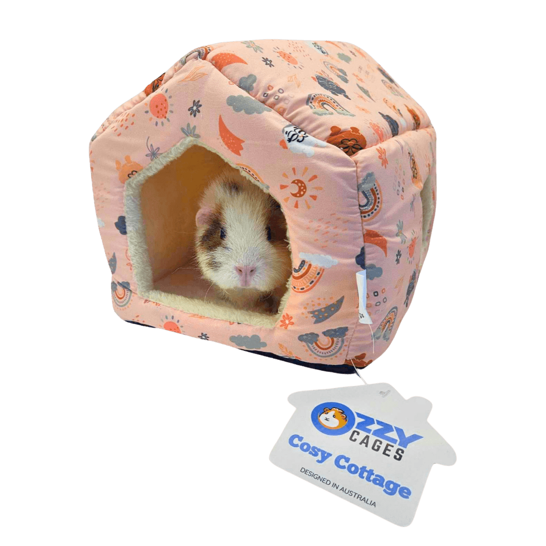 Cosy Cottage Earthchild Guinea Pig Hut