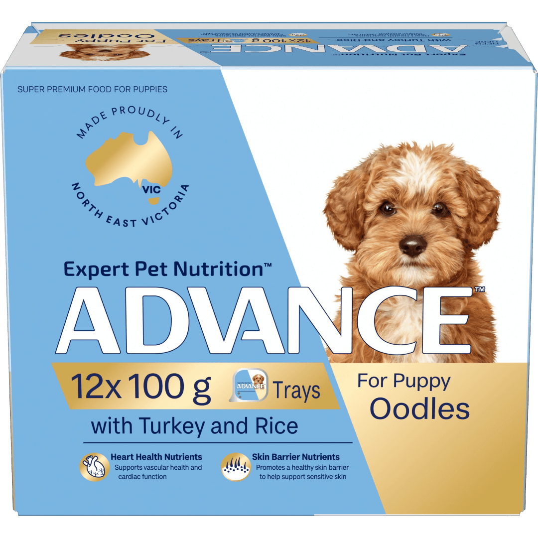 Turkey With Rice Puppy Oodles Wet Dog Food Tray