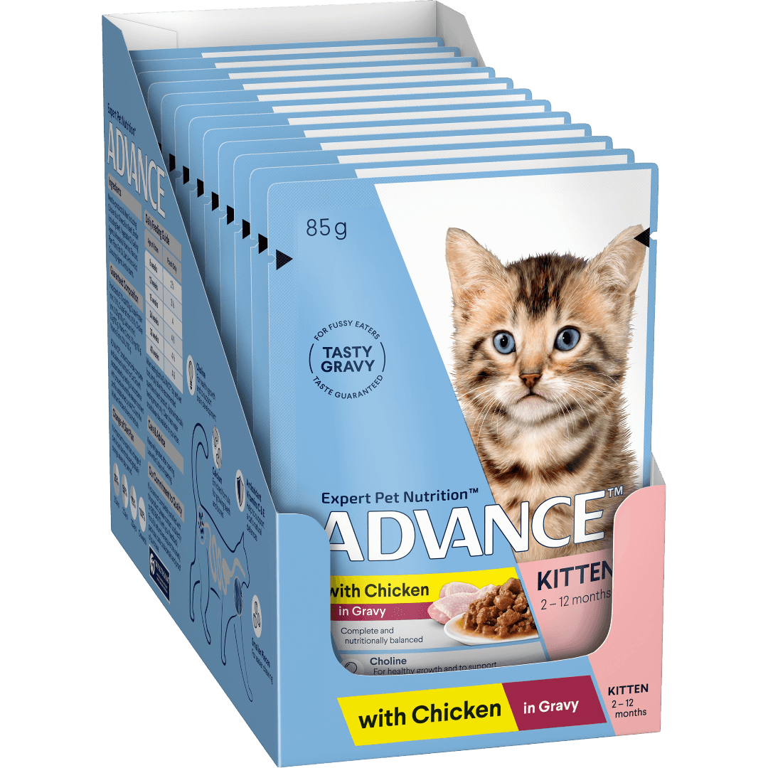 Chicken Chunks In Gravy Kitten Wet Cat Food Pouch