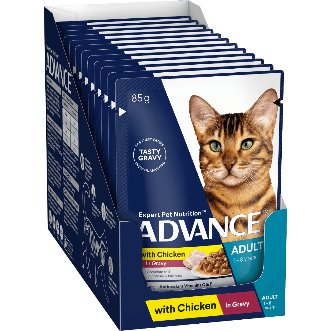 Chicken Chunks In Gravy Adult Wet Cat Food Pouch