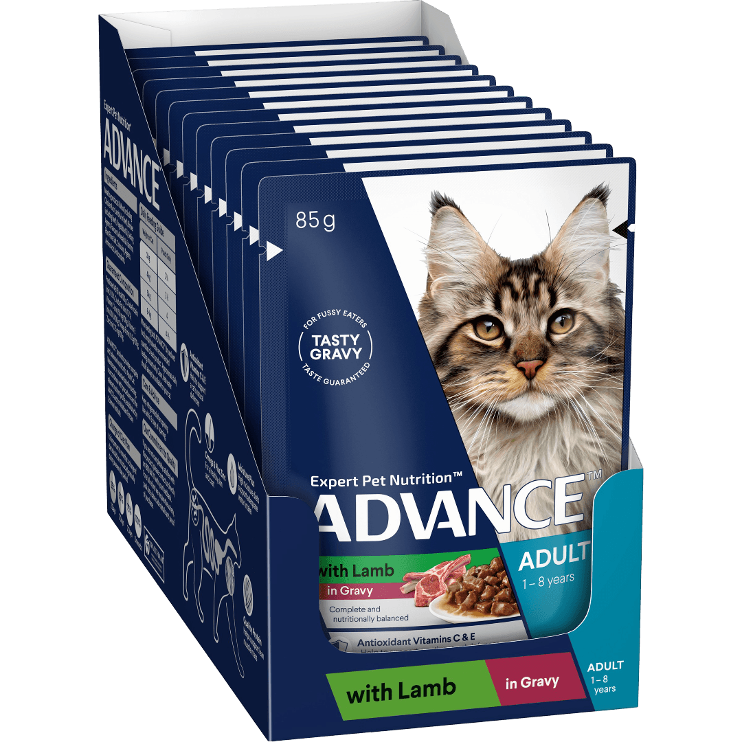 Lamb In Gravy Adult Wet Cat Food Pouch