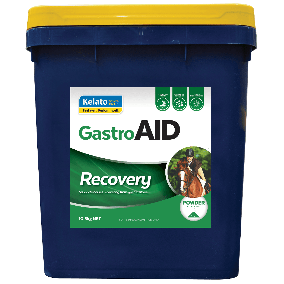 Kelato Gastroaid Recovery Gastric Ulcer Support Horse Supplement