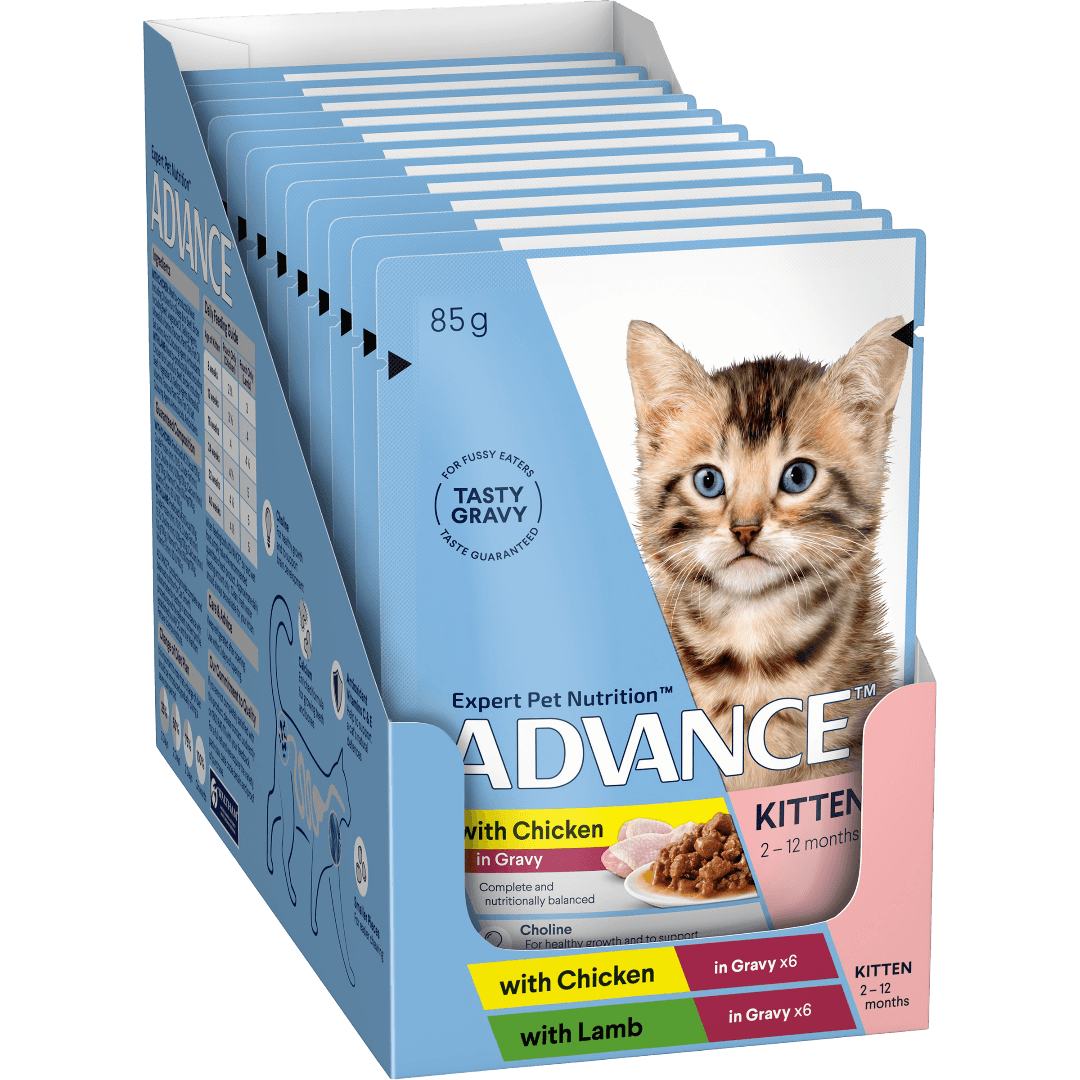 Chicken And Lamb Chunks In Gravy Kitten Wet Cat Food Pouch
