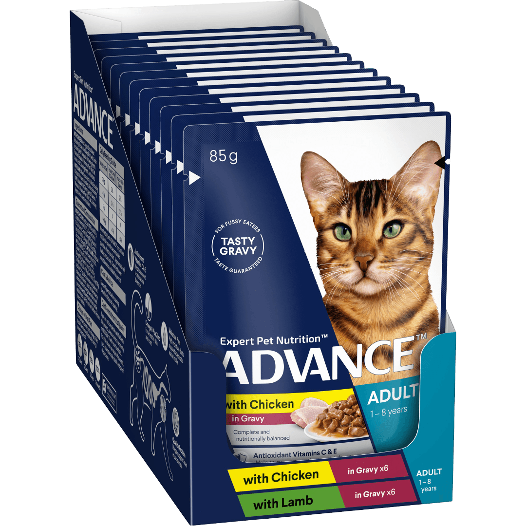 Chicken And Lamb Chunks In Gravy Adult Wet Cat Food Pouch