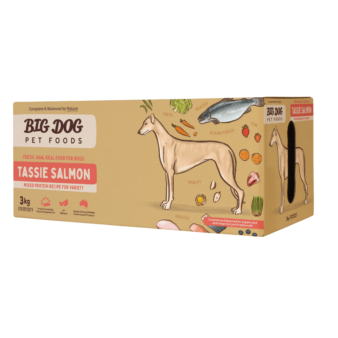 Tassie Salmon Frozen Raw All Lifestages Dog Food