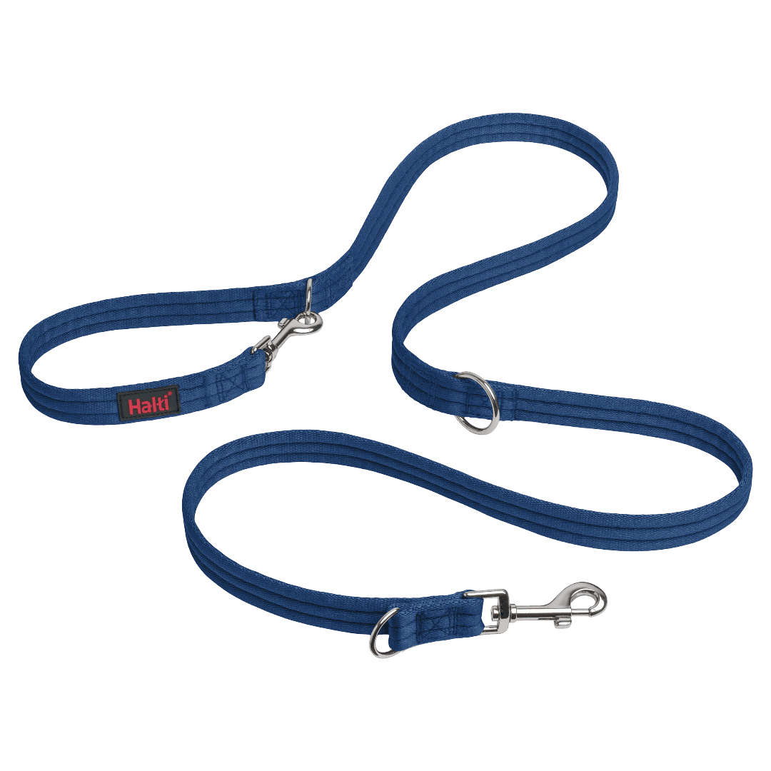 Dog Training Lead in Cobalt Blue
