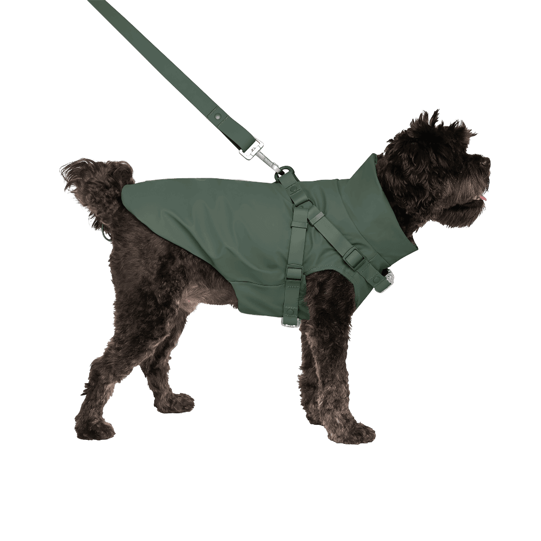 Dog Raincoat With Harness Forest Green