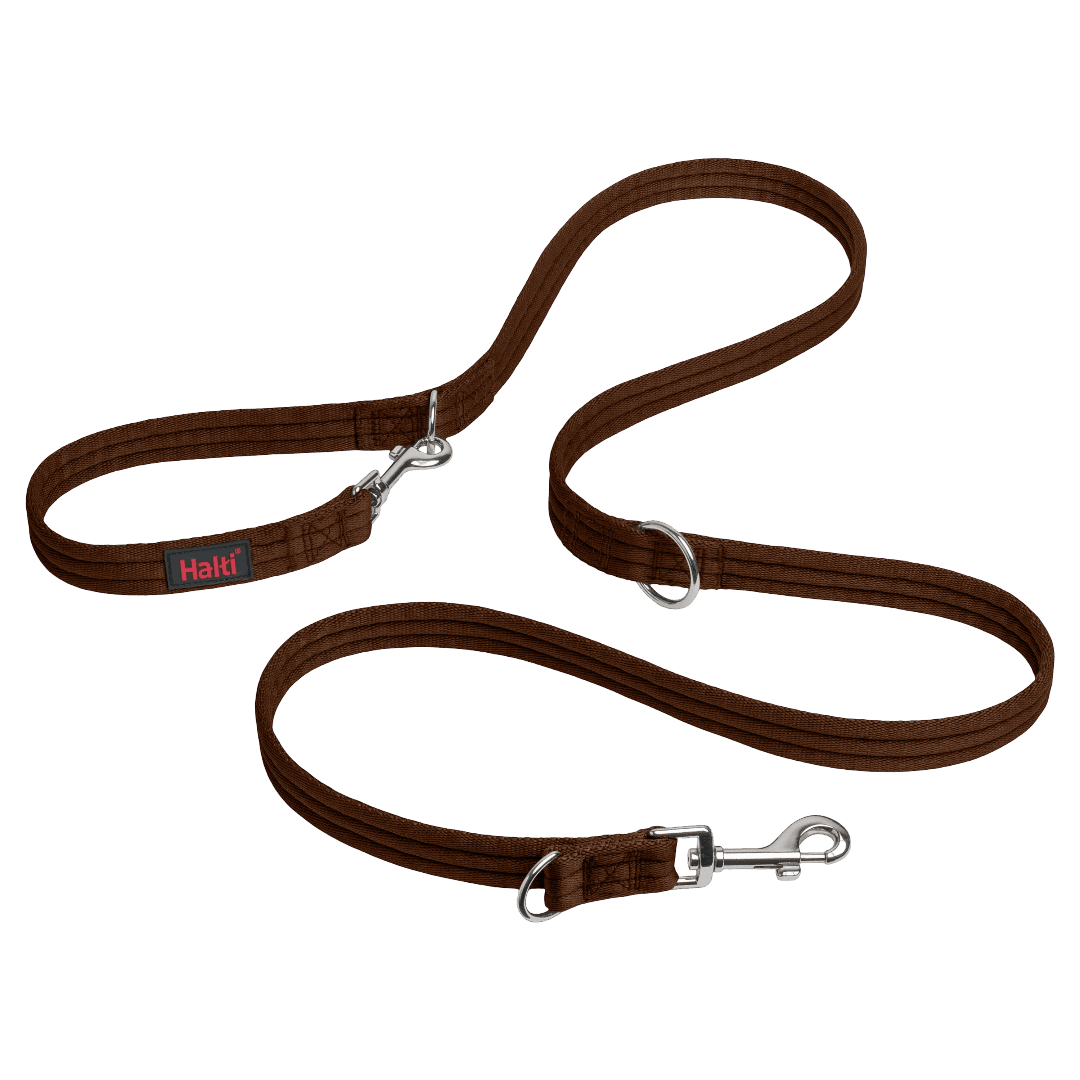 Dog Training Lead in Deep Walnut