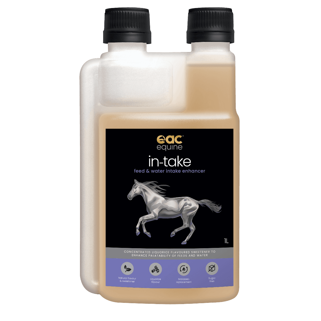 In-Take Feed And Water Enhancer Horse Supplement