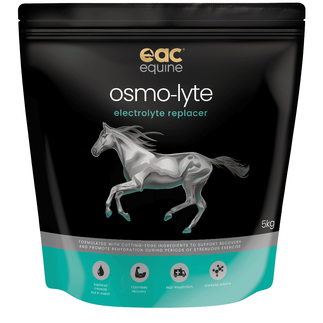 Osmo-Lyte Electrolyte Replacer Horse Supplement