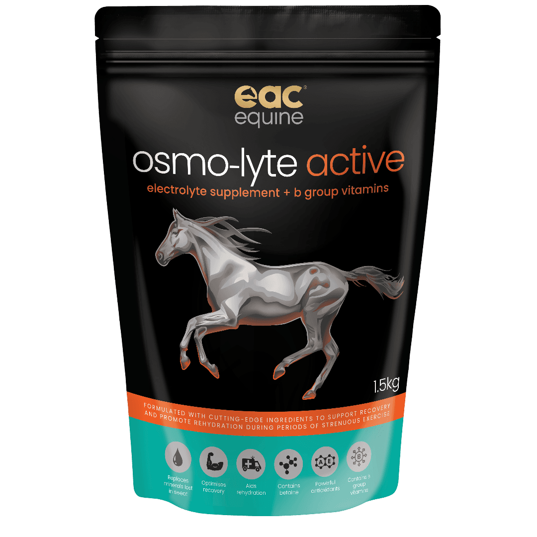 Osmo-Lyte Active Electrolyte & B Vitamin Horse Supplement
