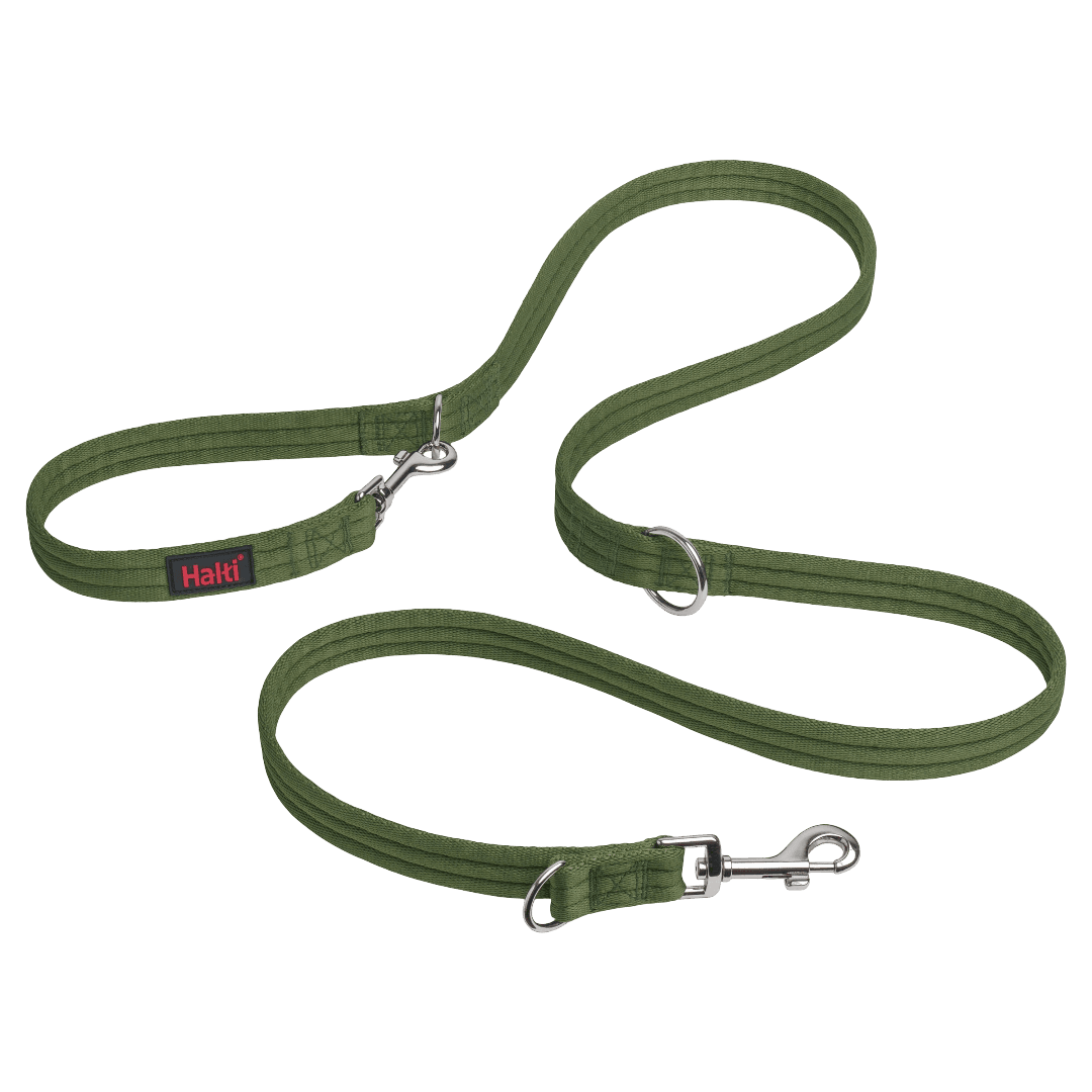 Dog Training Lead in Forest Green